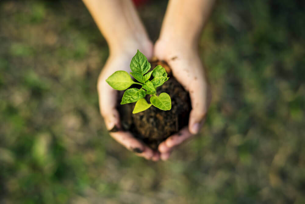 A Importância da Sustentabilidade em Produtos para o Lar